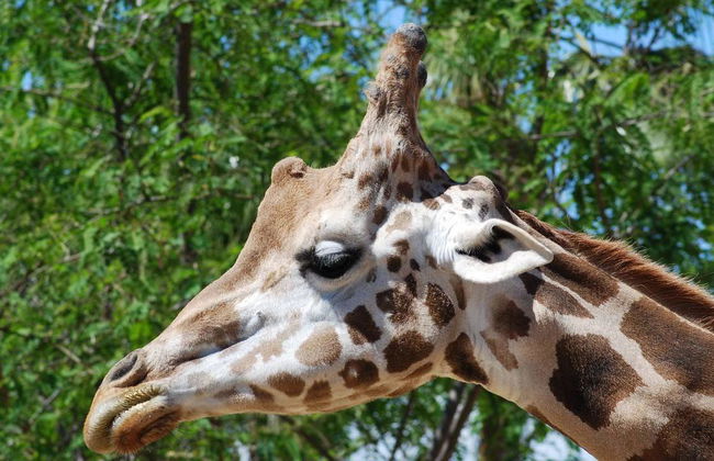 Eingangsboden Natura Murcia - Foto 2